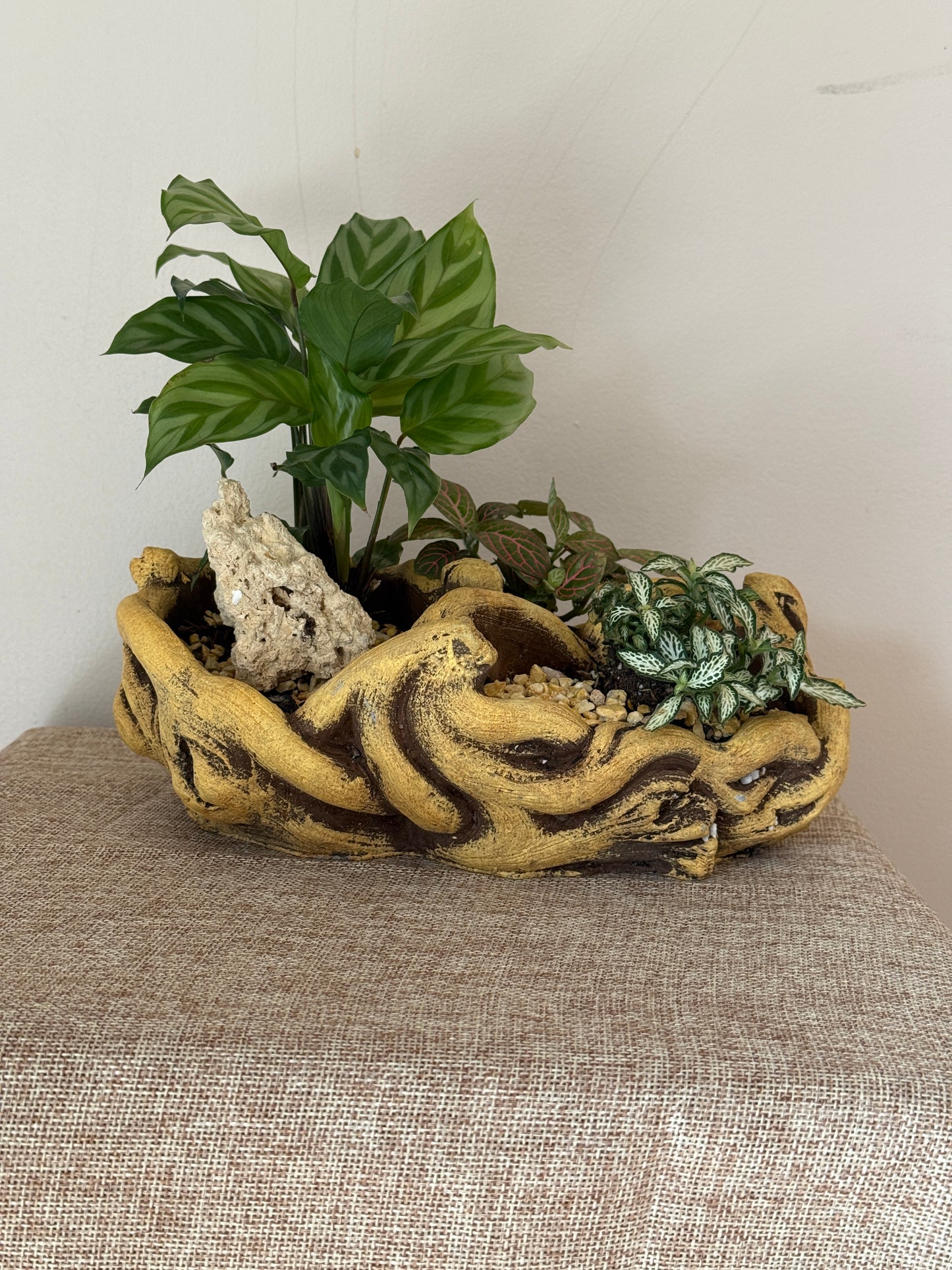 🌿 Forest Whisper - Indoor Plants